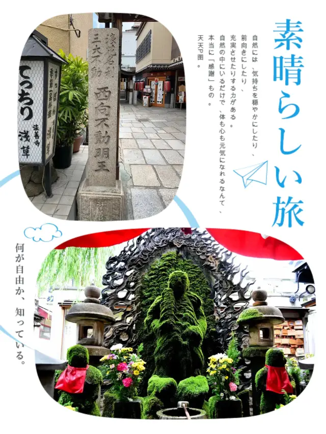 百年青苔佛像係咩料😂