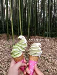 먹방여행을 빙자한 담양여행