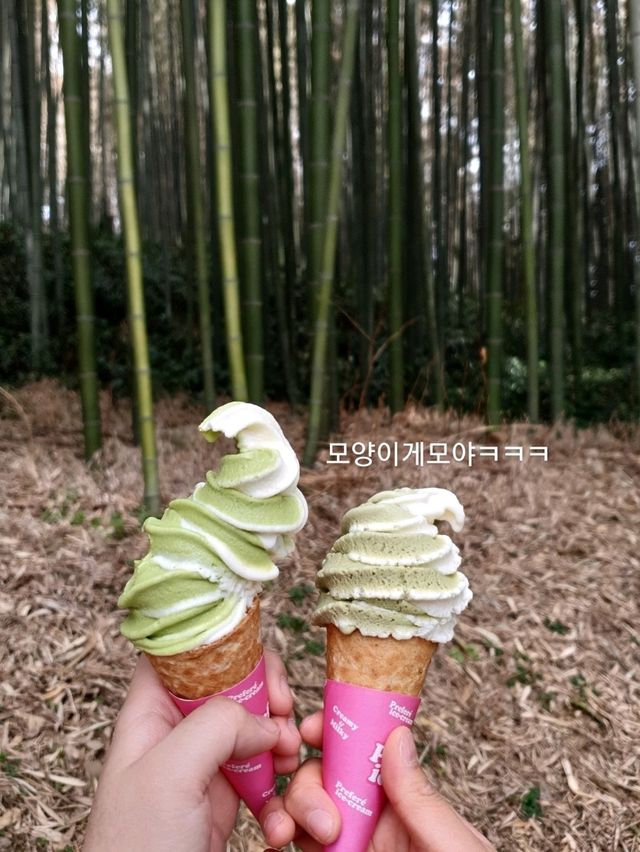 먹방여행을 빙자한 담양여행