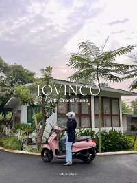 jovincojogja