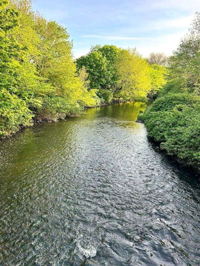 Kelvingrove Park