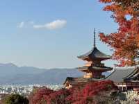 Kiyomizu-dera จุดชมใบไม้เปลี่ยนสีโด่งดังในญี่ปุ่น