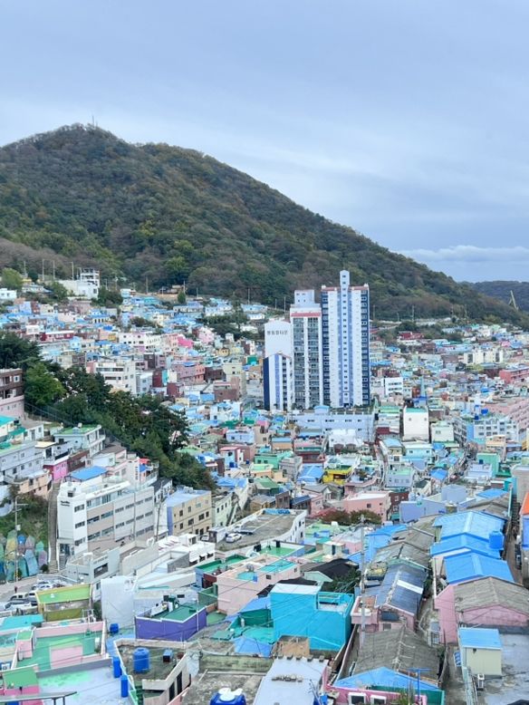 Wandering Through Art & Slurping Milmyeon  – Gamcheon Vibes!