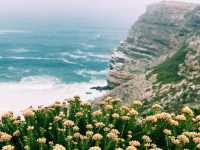 🌊 The Cape of Good Hope – Where the Ocean Meets the Soul