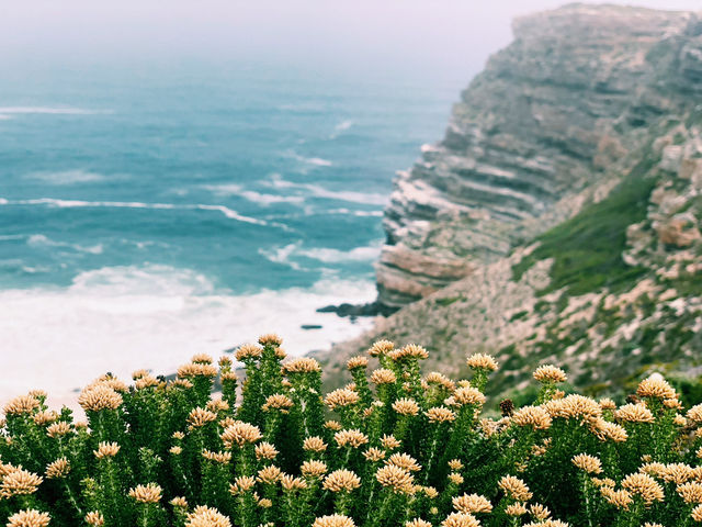 🌊 The Cape of Good Hope – Where the Ocean Meets the Soul