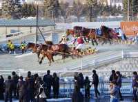 【北海道・帯広】観光としても楽しめる競馬場🏇