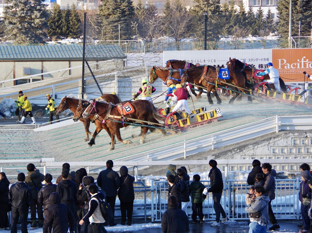 【北海道・帯広】観光としても楽しめる競馬場🏇
