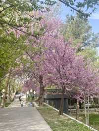 Park V Tashkent - A hidden Gem