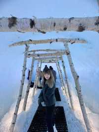 Sapporo 6 Days Itinerary 
