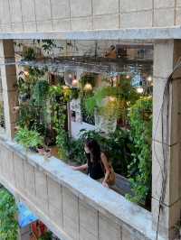 “Strolling through the cozy charm of the Cafe Apartment 🪴🌿