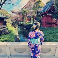 Embracing Tradition & Nature at Sensoji Temple 🌿🎋 #EarthDayVibes