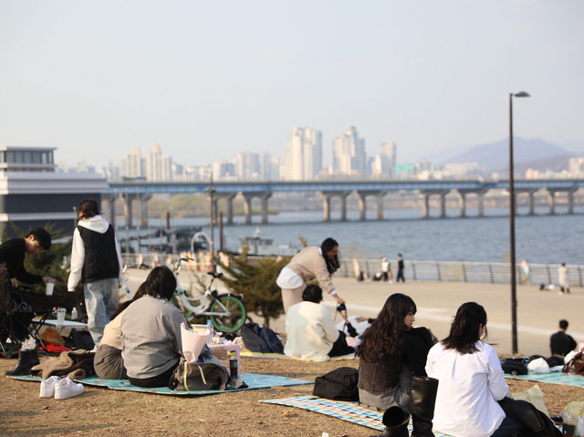 平日漢江公園驚見超浪漫野餐景象！情侶在草地上看韓劇，這才是韓國人最愛的放鬆方式在韓國的平日午後