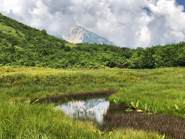 絶景の宝庫！八方尾根トレッキングで出会う雲上の世界⛰️✨