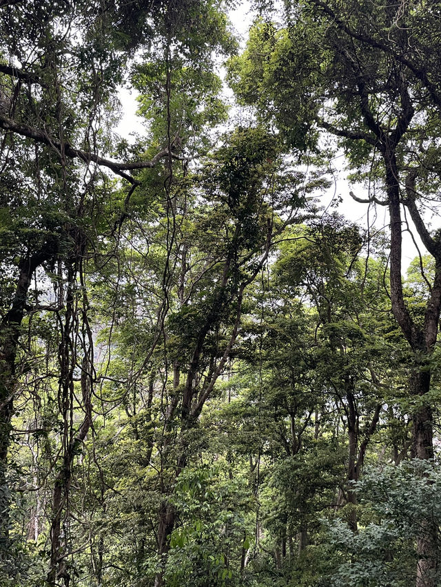 Looking for something relaxing to do in 🇭🇰?