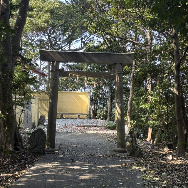 波の音を聞きながら離島巡り❤️