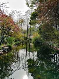Shanghai Botanical Garden- A Urban Oasis