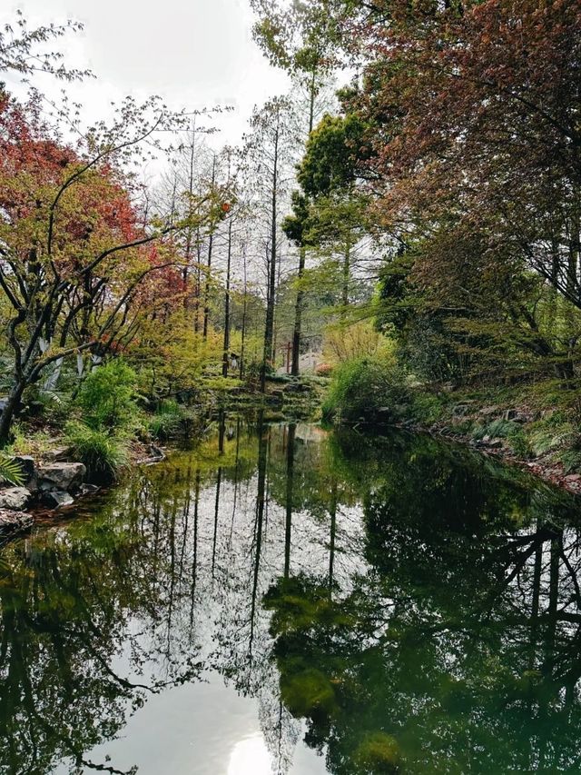 Shanghai Botanical Garden- A Urban Oasis