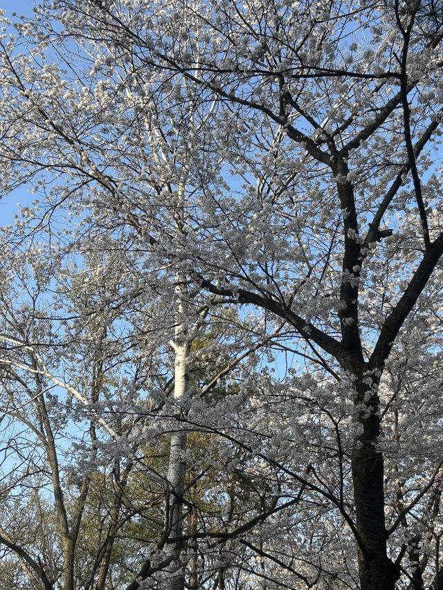 수암골 전망대에서 이어지는 힐링 산책길, 수암골 산책로 🌿