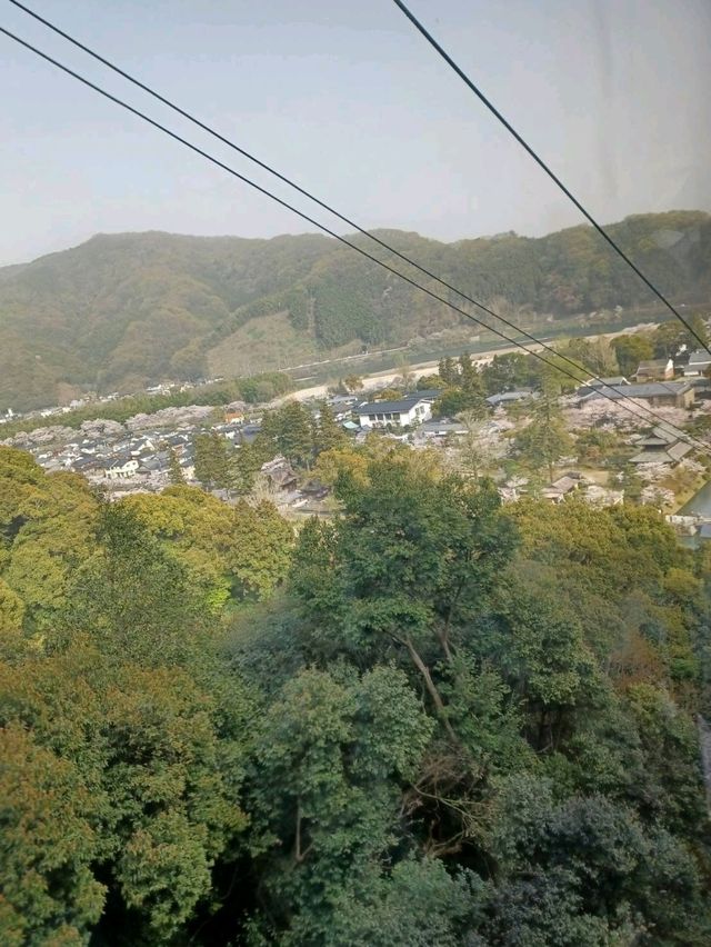 岩国城ロープウェイで岩国城へ行く
