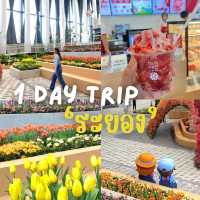 1 Day Trip ระยอง ดูสวนดอกไม้