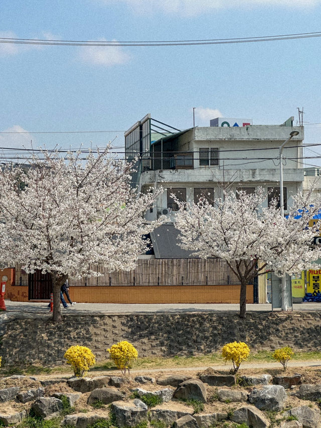 대전역 도보 10분 거리에서 끝내는 당일 여행