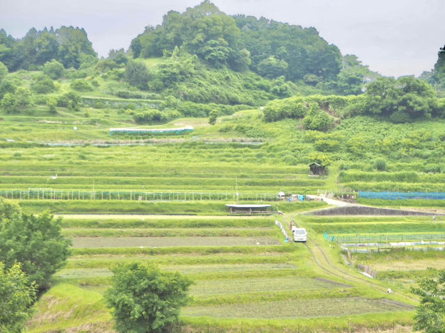 【奈良県】 日本の始まりの地　in明日香村