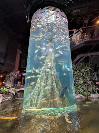 Aquaria KLCC
