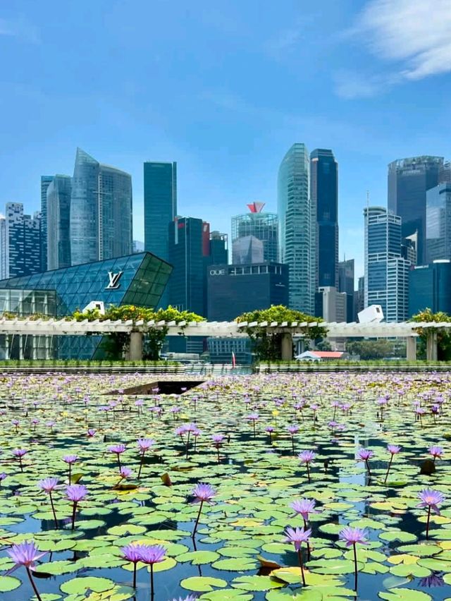 🌴 Lion City Sparkle: Discovering Singapore! 