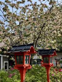 Spring Blossoms at Rokusonno Shrine