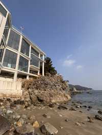 바다를 품은 감성카페, 여수 라피끄에서의 여유로운 하루 🌴