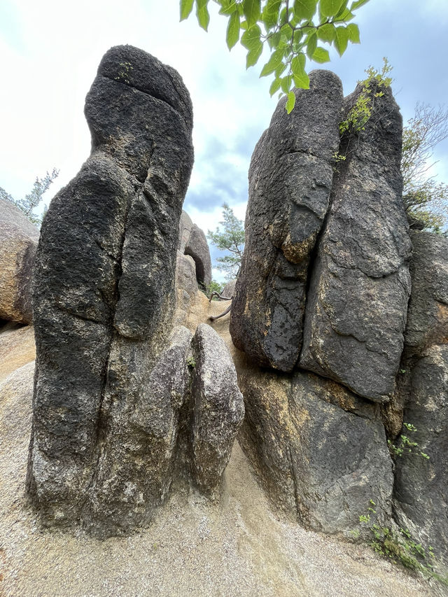 【金勝アルプス】⛰️　関西百名山〜鶏冠山・天狗岩・竜王山