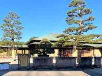 絕美靜謐大仙公園日本庭園🌿