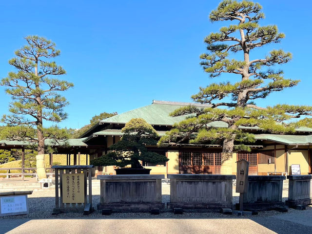 絕美靜謐大仙公園日本庭園🌿