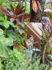Local Flavor, Modern Vibes: Inside Hat Yai’s Locals HDY