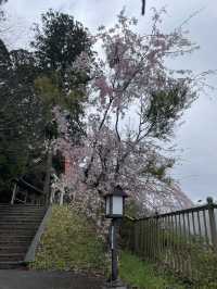 หมู่บ้านคายาบุกิโนะซาโตะ (Miyama Kayabuki no Sato)