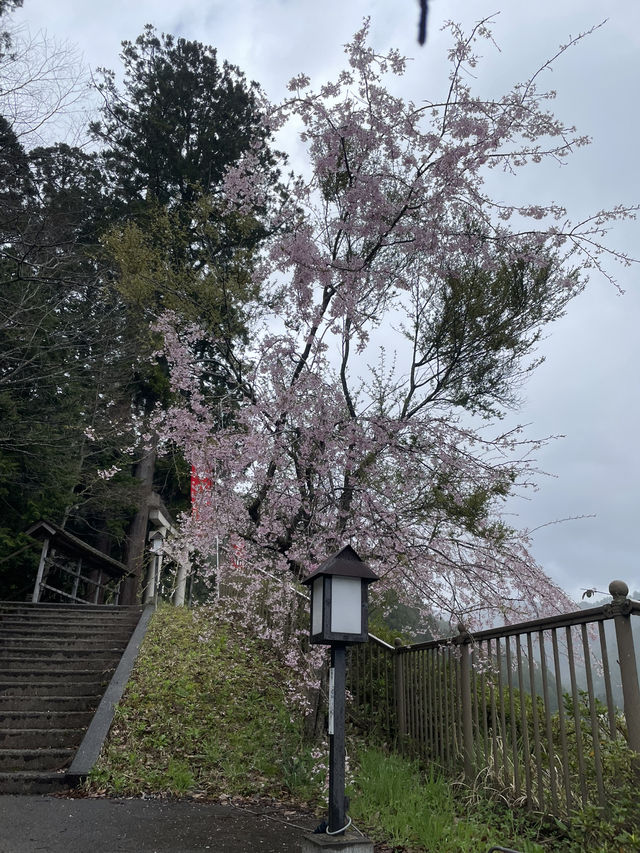 หมู่บ้านคายาบุกิโนะซาโตะ (Miyama Kayabuki no Sato)