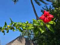Sun Siyam Vilu Reef
