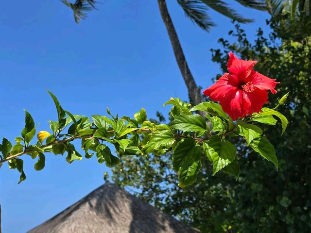 Sun Siyam Vilu Reef