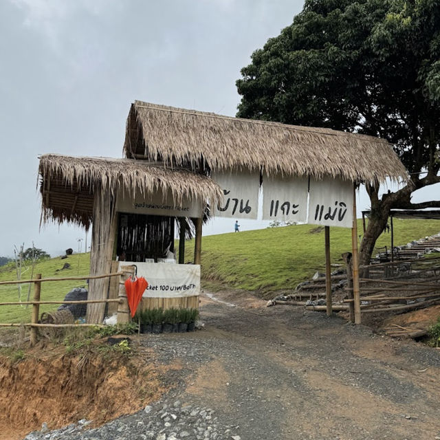 🐑🌿 บ้านแกะแม่ขิ (Maekee Sheep House)
