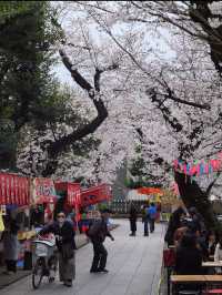 Weikouzan Houmeiji Temple - A Hidden Cherry Blossom Experience in Ikebukuro 🌸