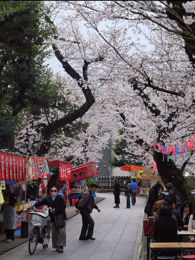 Weikouzan Houmeiji Temple - A Hidden Cherry Blossom Experience in Ikebukuro 🌸