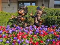 Beautiful flowers at Shanghai Disneyland Hotel