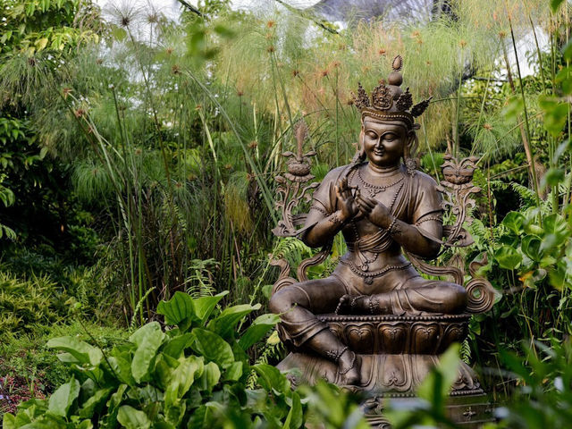 🧘‍♂️Peace & Pine Trees: My Soul Detox at Kechara Forest Retreat🌲✨