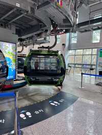 Bloom, Breeze & a Bit of Roar: Discover the Charm of Songdo Cable Car