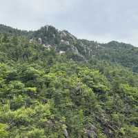【金勝アルプス】⛰️　関西百名山〜鶏冠山・天狗岩・竜王山