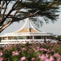 พื้นที่สีเขียวขนาดใหญ่ใจกลางเมือง – สวนหลวง ร.9