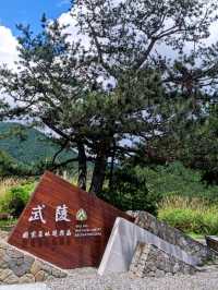 #武陵國家森林遊樂區-臺中區和平區
