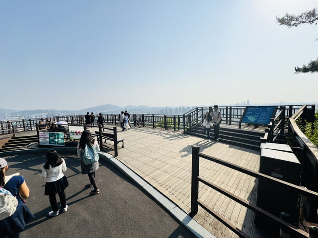 Namsan Vibes: Hike, Snap, Explore!