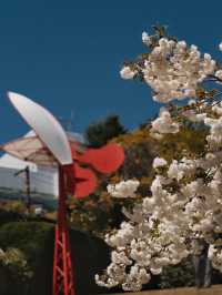 Sculptures in Bloom: Springtime at Hakone Open-Air Museum
