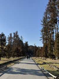 瑞巖寺-來到日本三景松島絕對不能錯過的國寶
